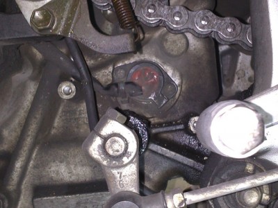 01 Posizione.jpg (182.46 KiB) Visto 71655 volte 01 Posizione.jpg