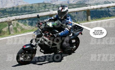 gila.JPG (52.78 KiB) Visto 656 volte gila.JPG