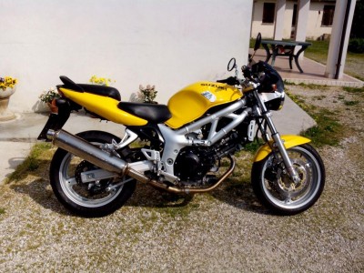 SUZUKI SV 650.jpg