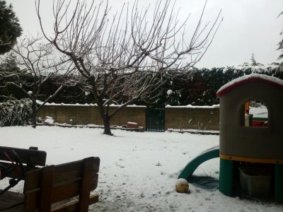 uploadfromtaptalk1328970289013.jpg (272.42 KiB) Visto 4474 volte uploadfromtaptalk1328970289013.jpg