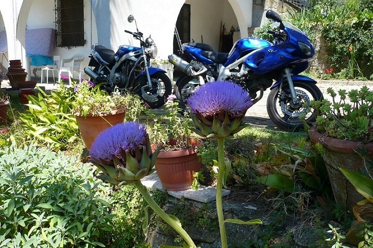 MOTO Vecchie piccola.jpg