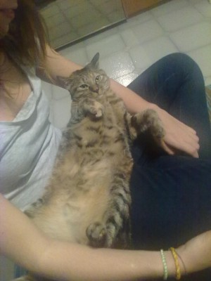 04112010082_576x768.jpg (73.09 KiB) Visto 2689 volte 04112010082_576x768.jpg