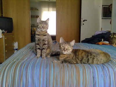 14042011107_1024x768.jpg (197.05 KiB) Visto 2958 volte 14042011107_1024x768.jpg