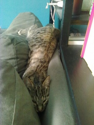 27092010071_576x768.jpg (92.8 KiB) Visto 2958 volte 27092010071_576x768.jpg