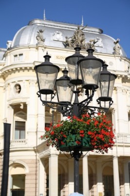 IMG_2544_400x600.jpg (85.63 KiB) Visto 1622 volte IMG_2544_400x600.jpg